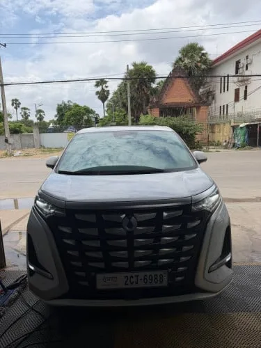Denza D9