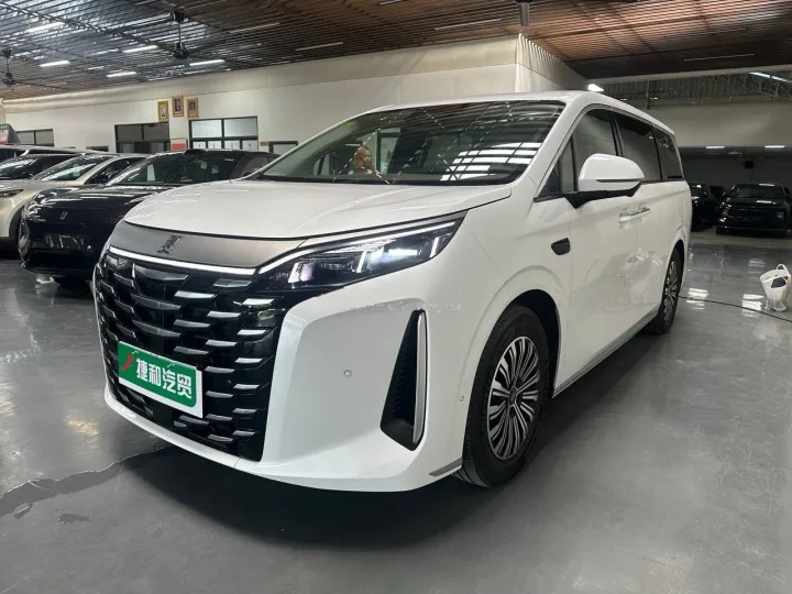 BYD M9