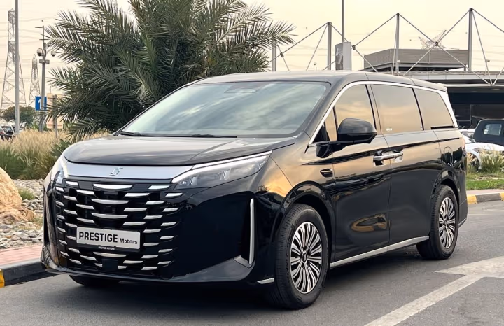 BYD M9 2025