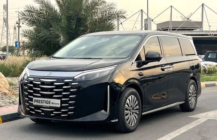BYD M9
