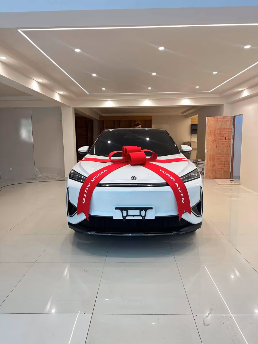 DongFeng S30 2025