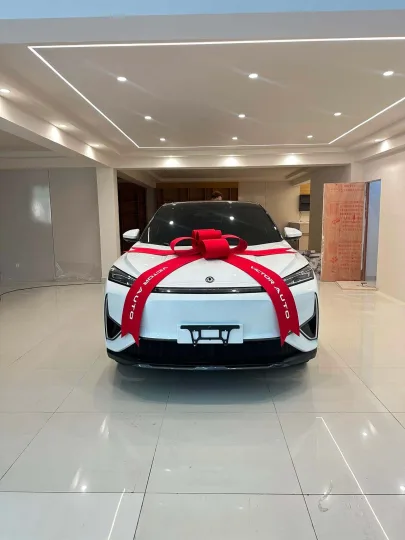DongFeng S30