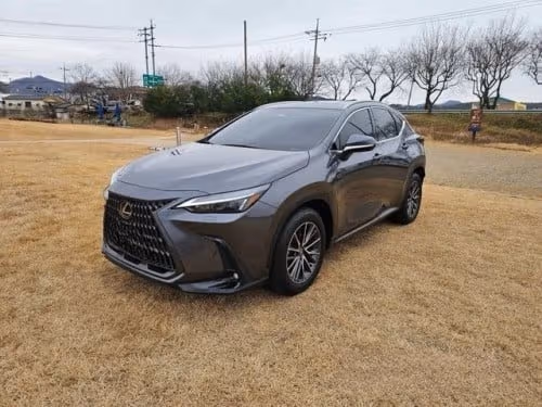 Lexus NX 2023